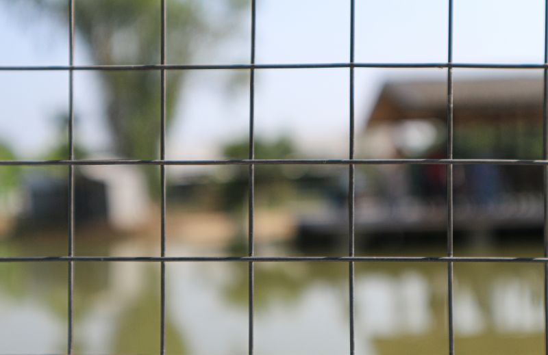 Warranty & Quality Checks